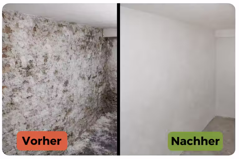 Entfernung der Salzfracht